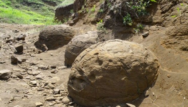 В Аргентині знайшли яйця з ембріонами динозаврів 