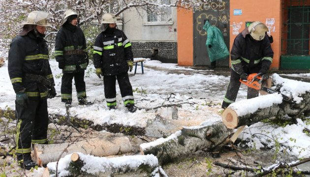 Сніг у Дніпропетровській області: через падіння дерева загинула людина