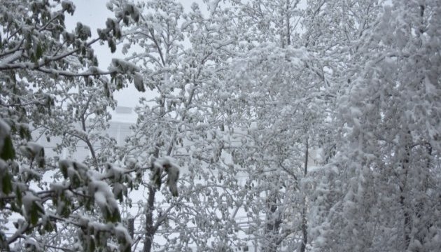 Одещину накриває снігова заметіль