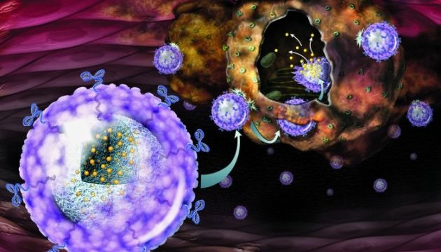 У США створили наночастки для програмування імунітету на боротьбу з раком