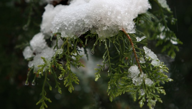 Україні прогнозують мокрий сніг, «ковзанку» на дорогах та потепління