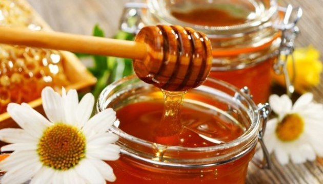 USA becomes major importer of Ukrainian honey