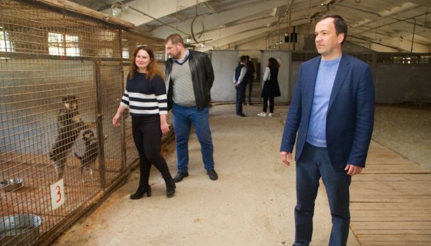 У столичному притулку для тварин у Бородянці збудували 22 вольєри - КМДА