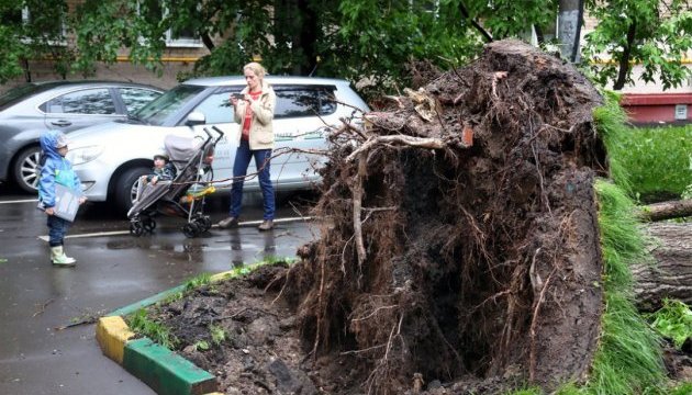 Ураган у Львові повалив дерева і зім`яв машину