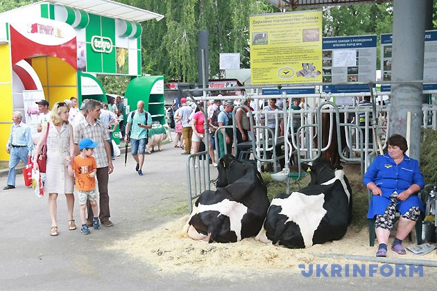 Люди роздивляються корів під час спеціалізованої виставки Animal'EX - 2017. Фото: Євген Любимов