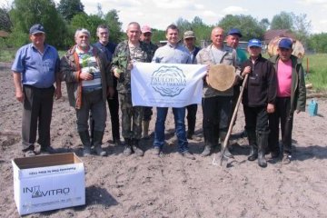 В зоне отчуждения ЧАЭС высадили деревья, способные поглощать радионуклиды