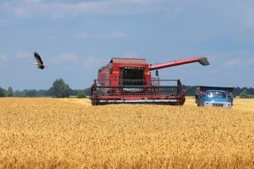 Ukraine reduces agri-exports by 29% in July - UCAB