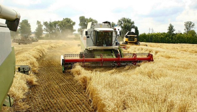 Exportaciones ucranianas de trigo a la UE se incrementaron en un 45%