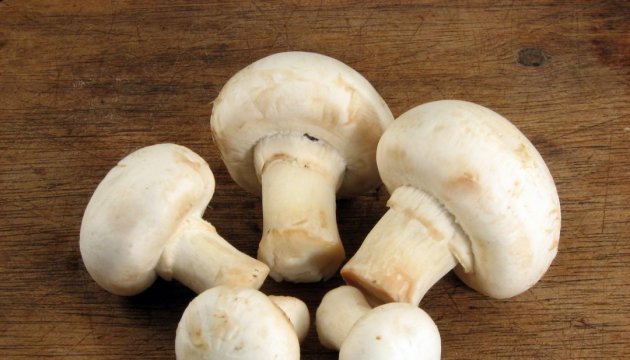 Ukraine ranked fourth among European mushroom producing countries