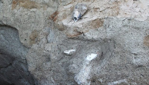 На Одещині виявлено рештки стародавніх тварин