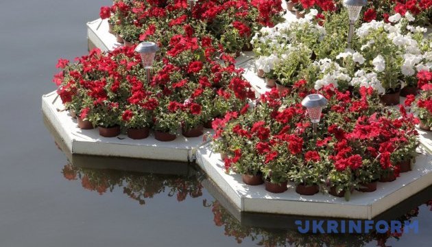 Квітковий експеримент: Харків оздобили креативними клумбами