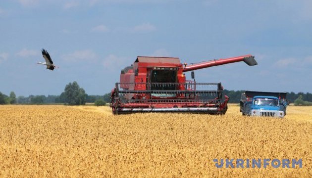 Урожай зернових цьогоріч прогнозують на рівні 46 мільйонів тонн