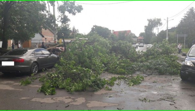 Unwetter in der Ukraine: Ohne Strom blieben 118 Ortschaften in 4 Regionen