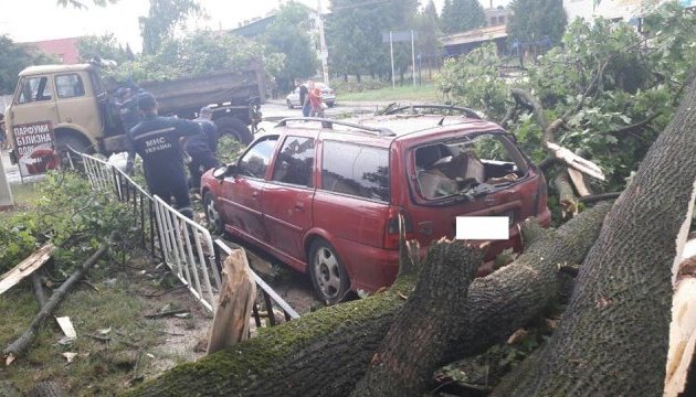 Негода у Львові: повалені десятки дерев, пошкоджені автівки і дахи будівель