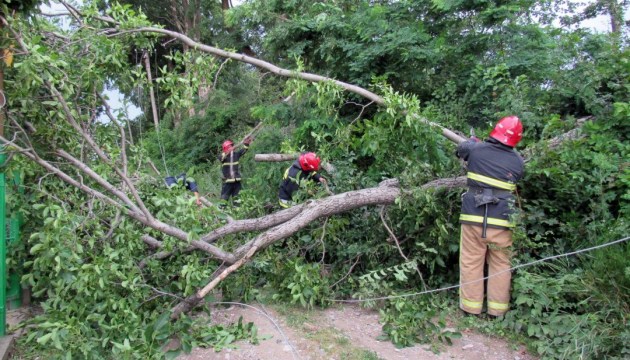 Bad weather leaves 141 towns and villages in Ukraine without electricity