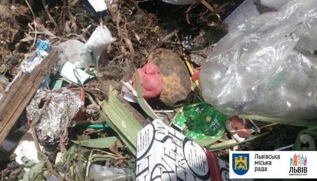 У львівському смітті знайшли п'ять гранат