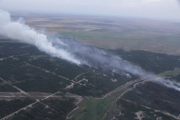Велику лісову пожежу на Херсонщині загасили