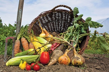 Le chiffre d'affaires des produits agricoles entre l'UE et l'Ukraine atteint un record de 7,5 milliards de dollars