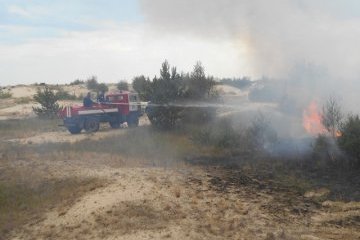 На Херсонщине горит 5 гектаров леса