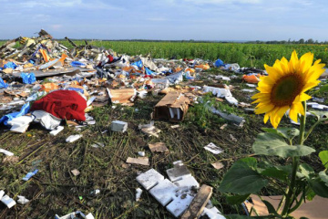 Міжнародне розслідування катастрофи MH17 виходить на фінальну стадію — ГПУ