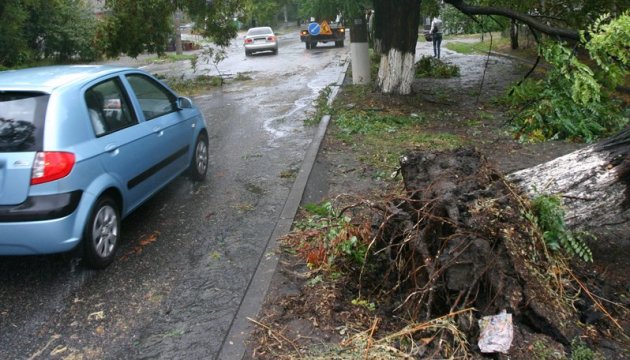 Le mauvais temps a laissé quelque 400 villes et villages ukrainiens sans électricité Le mauvais temps a laissé quelque 400 villes et villages ukrainiens sans électricité