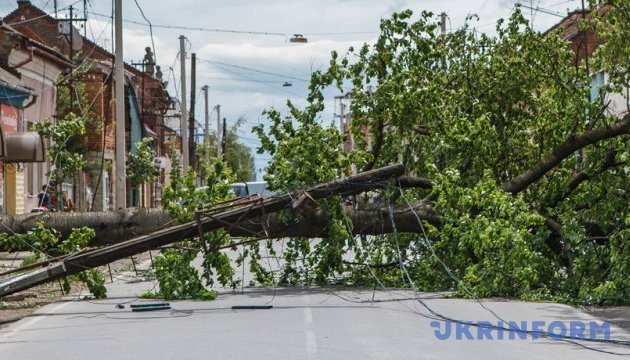 На Прикарпатті вітер повалив дерева, зруйнував дахи та знеструмив села