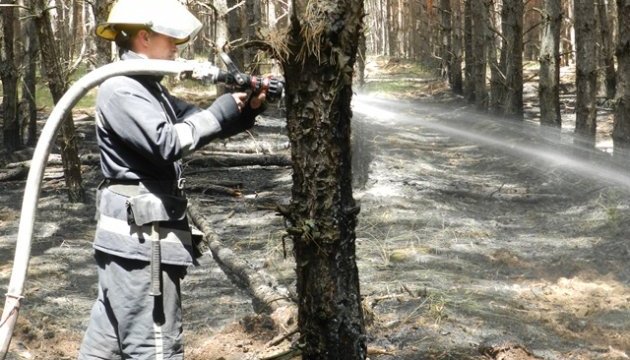 Рятувальники локалізували лісову пожежу на Херсонщині