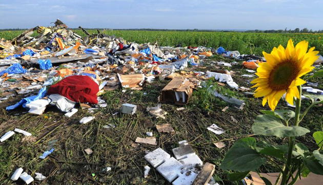 Міжнародне розслідування катастрофи MH17 виходить на фінальну стадію — ГПУ