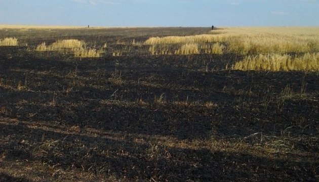 Вогонь знищив 8,5 гектара пшениці на Донеччині - ДСНС