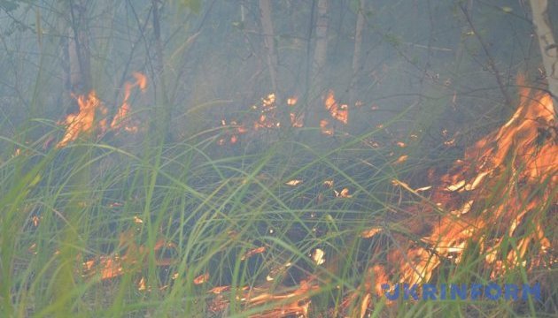 Лісові пожежі у Канаді: тисячам евакуйованим дозволили повернутися додому