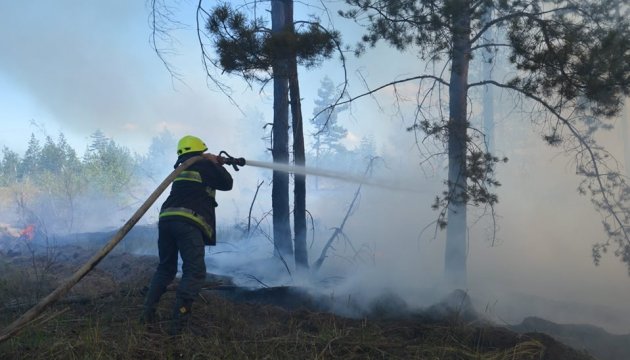 Рятувальники ліквідували пожежу на острові Хортиця