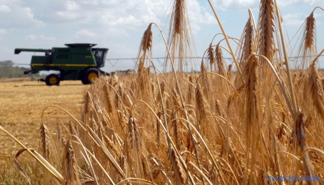 Ukrainian farmers harvest 41.9M tonnes of grain