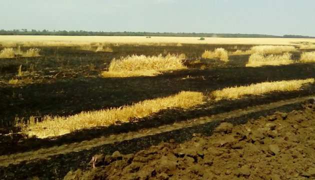 Plus de 60 hectares de blé ont brûlé dans la région de Donetsk en raison des affrontements