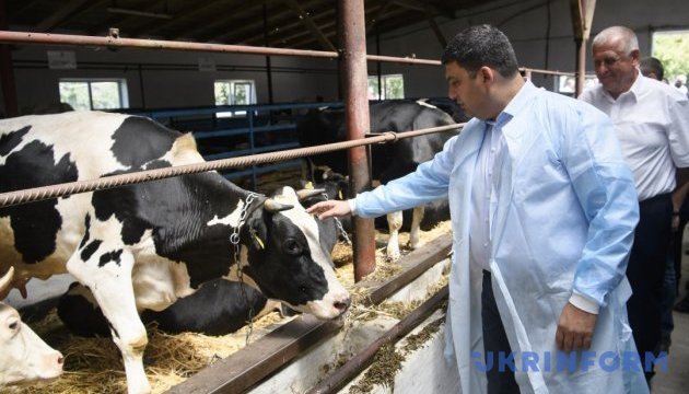 Уряд планує цьогоріч 2,5 мільярда на будівництво молочних комплексів та ферм