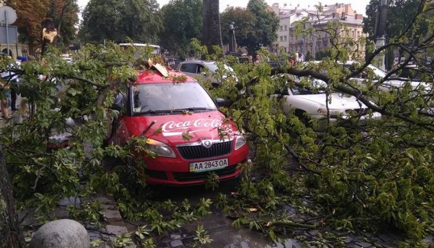 Буря у Львові знесла дах з багатоповерхівки та пошкодила автомобілі
