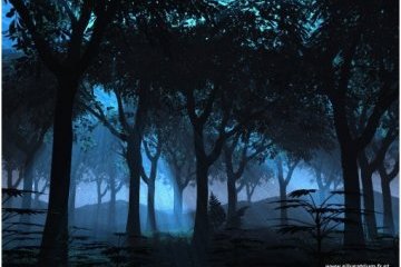 На Волині туристів кличуть до нічного лісу