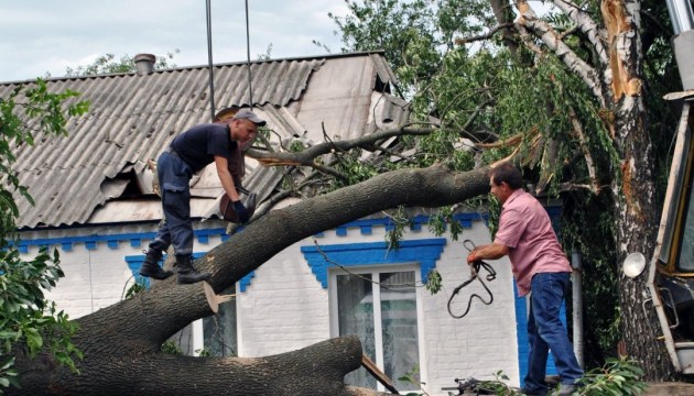 Bad weather leaves 131 Ukrainian towns and villages without electricity