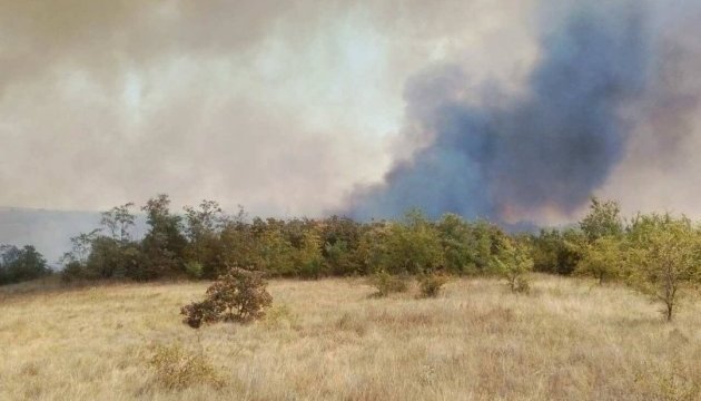 На Миколаївщині горить 15 гектарів лісу