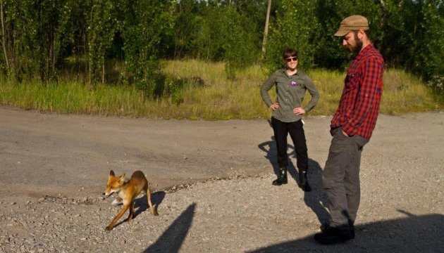 Британці знімуть у Чорнобилі кадри для стрічки про дику природу 