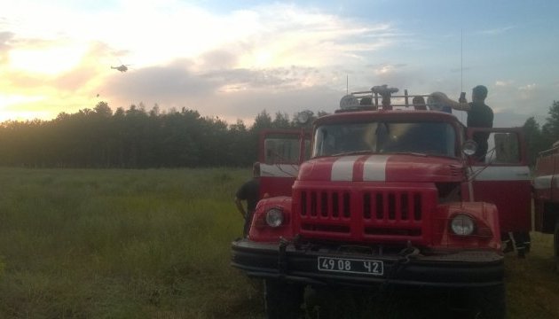Лісова пожежа на Херсонщині: горять майже 40 гектарів