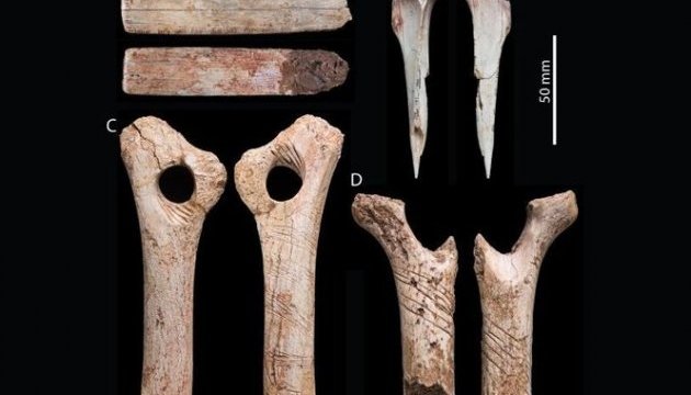 Вчені знайшли нові докази канібалізму у древніх людей