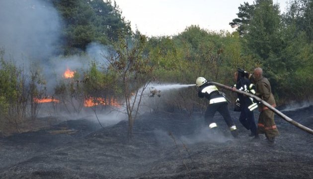 На Дніпропетровщині досі гасять велику лісову пожежу