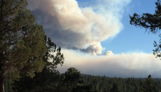 В Орегоні через лісові пожежі евакуюють мешканців