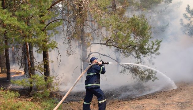 На Миколаївщині майже добу гасили лісову пожежу – вигоріли 80 гектарів