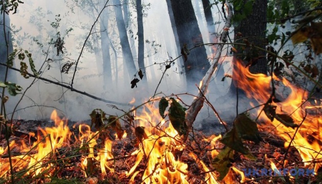 Alerta por el nivel más alto del riesgo de incendios en Ucrania 