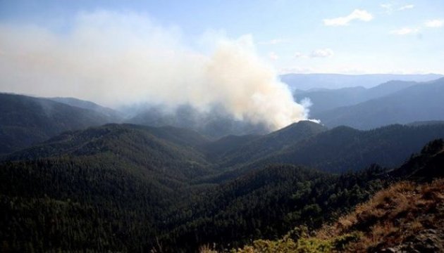 Лісові пожежі у Грузії допомагає гасити український літак