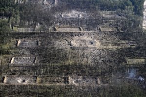 Калиновка в огне, приговор Умерову и синие береты
