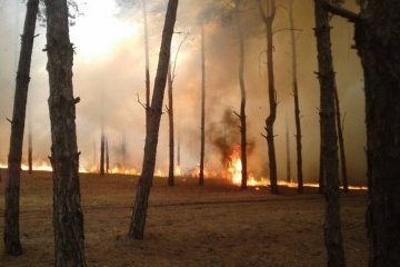 Extreme fire hazard expected in southern and eastern regions of Ukraine on Sept 12-15