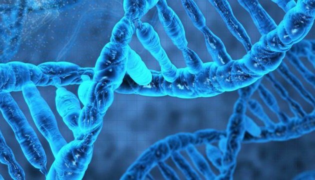 Науковці дослідили найстарішу ДНК, якій 2 мільйони років
