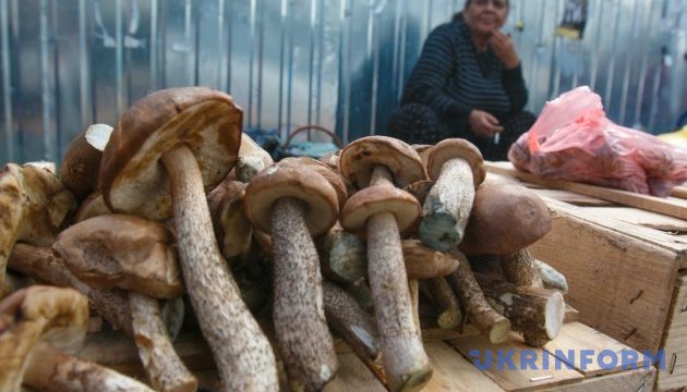 У Києві люди труяться грибами: коли треба негайно викликати “швидку”